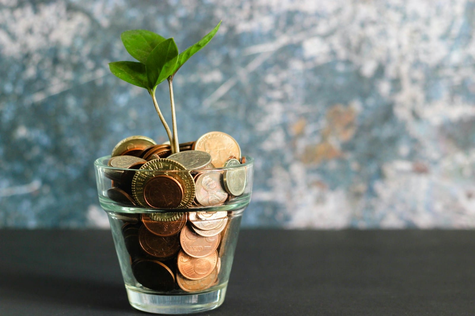 green plant in clear glass vase, biaya jasa pengacara